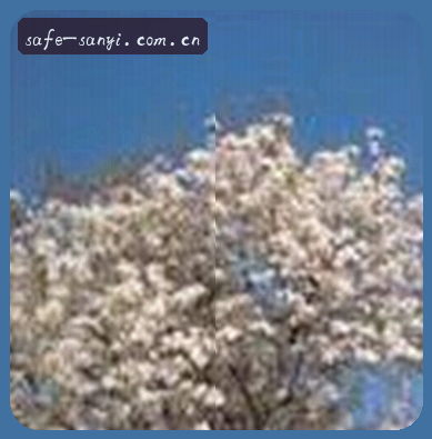 阿杰